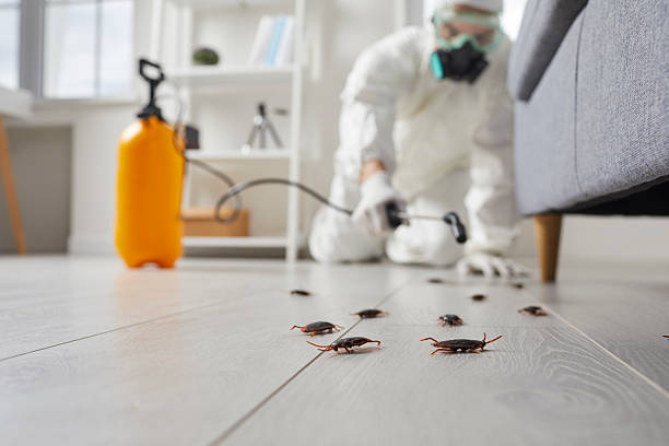 Trusted Fumigation Services service in Lawtell, LA - Nex Pest Control