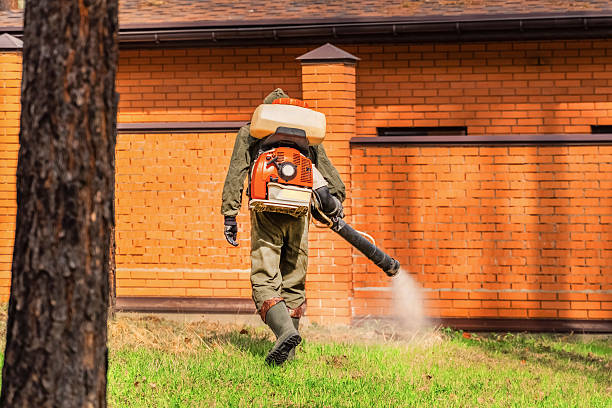 Trusted Rodent Control service in Lawtell, LA - Nex Pest Control